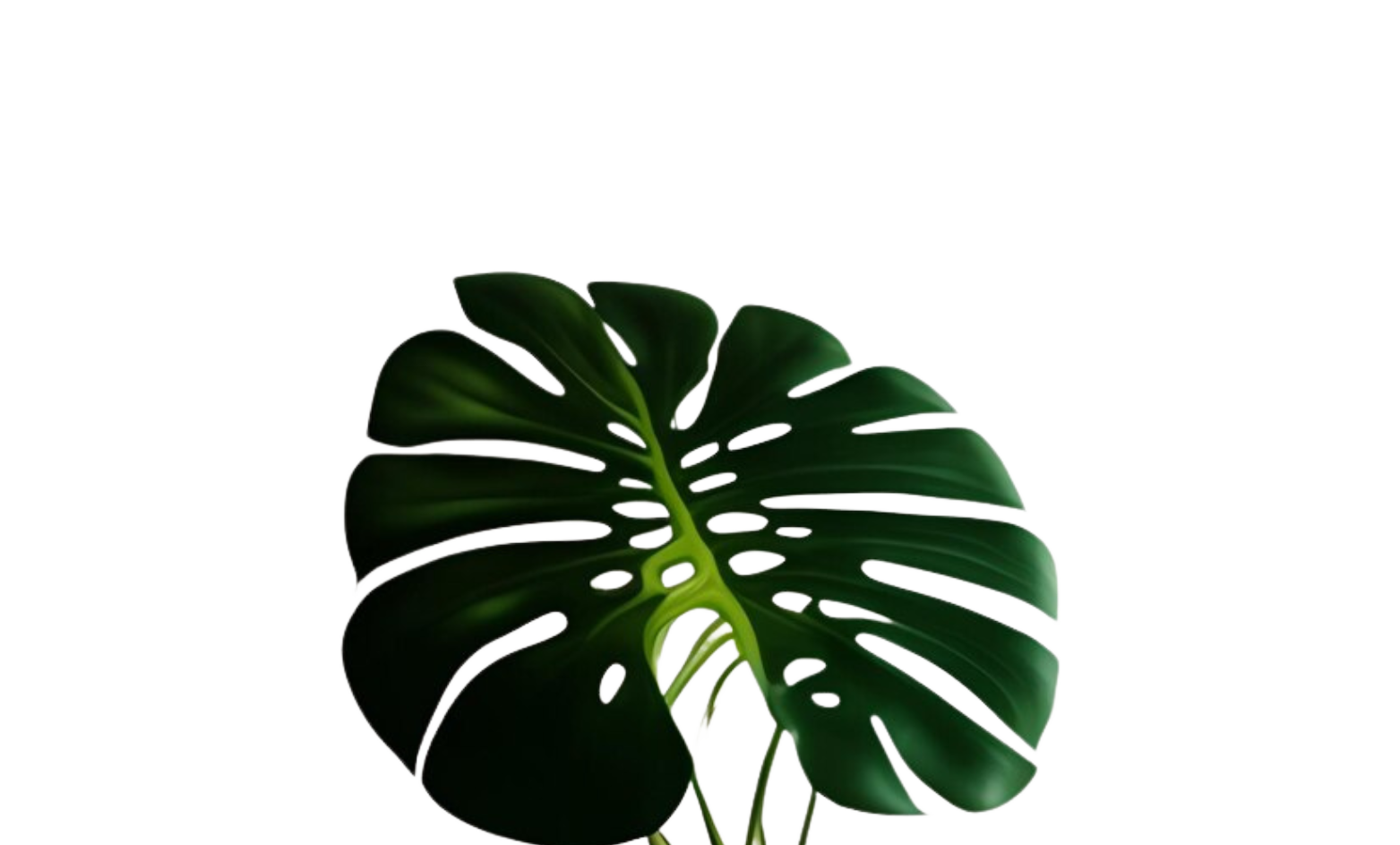 Decorative Leaf